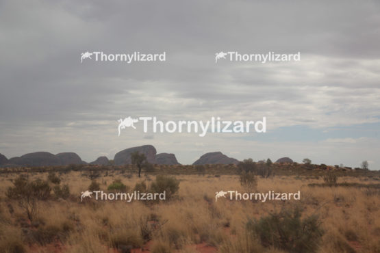 Kata Tjuta in Northern Territory, Australia
