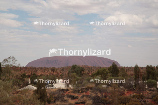 Uluru in Northern Territory, Australia