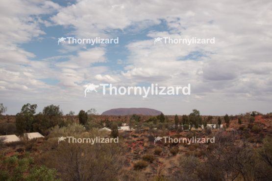 Landscape of Uluru in Northern Territory, Australia