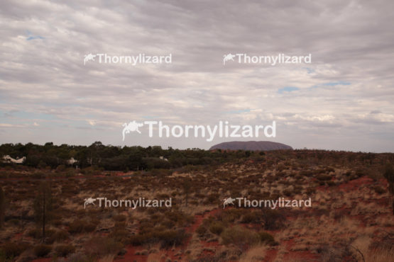 Uluru in Northern Territory, Australia