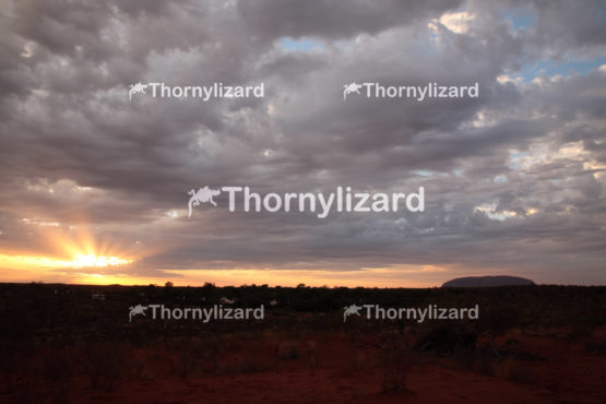 Uluru under sunrise, in Northern Territory, Australia