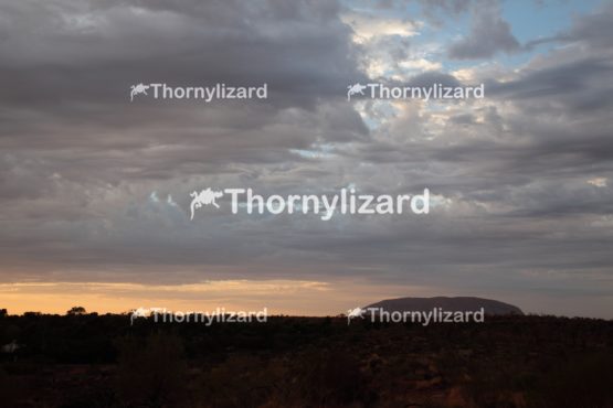 Landscape of Uluru under sunrise, in Northern Territory, Australia