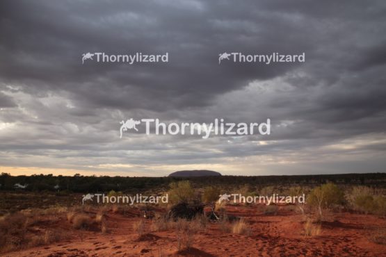 Sunrise in uluru, outback, Australia