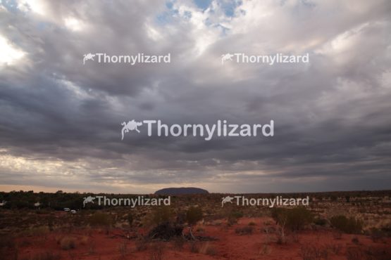 Landscape of Uluru under sunrise, in Northern Territory, Australia