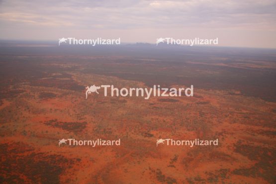 Aerial view of of Uluru National Park in Northern Territory, Australia