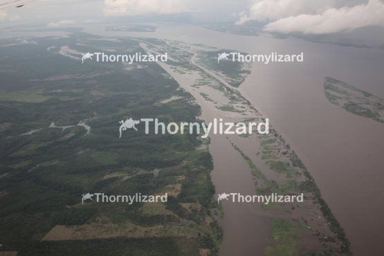 Aerial view amazon rainforest, Brazil