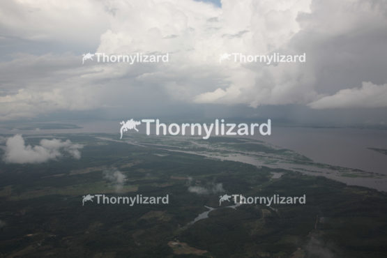 Aerial view amazon rainforest, Brazil