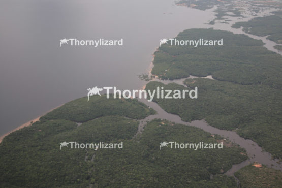 Aerial view amazon rainforest, Brazil