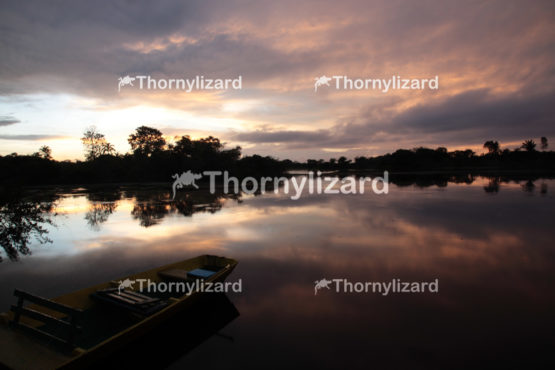 Amazon Jungle river sunrise, Brazil