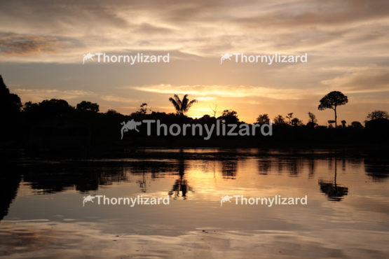 Amazon Jungle river sunrise, Brazil