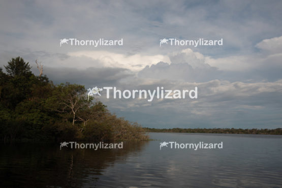 Amazon Jungle river, Brazil