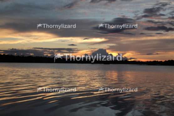 Amazon Jungle river sunset, Brazil
