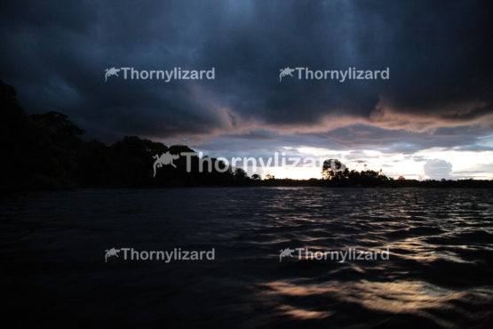 Amazon Jungle river sunset, Brazil
