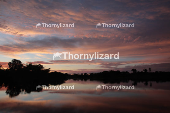 Amazon Jungle river sunrise, Brazil