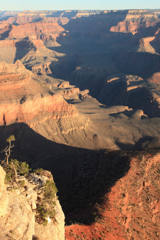 Grand Canyon South Rim during sunrise Utah, USA