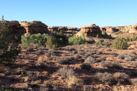 The Needles in Canyonlands National Park Utah