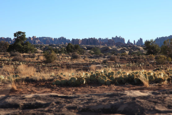 The Needles in Canyonlands National Park Utah