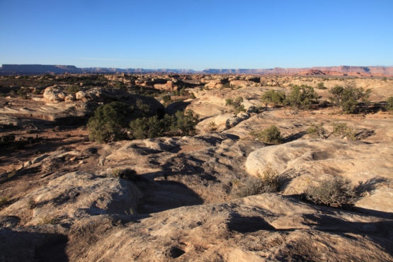 The Needles in Canyonlands National Park Utah