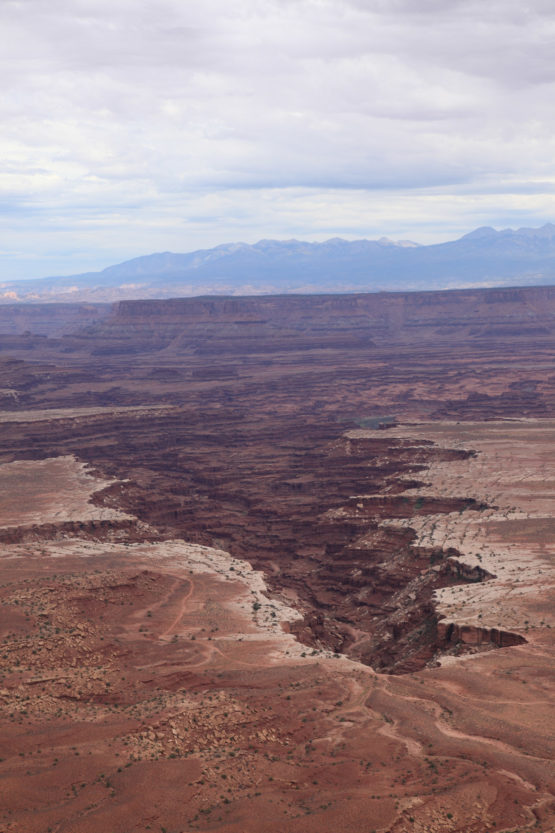 Buck Canyon overlook at island in the sky in Canyonlands National Park Utah