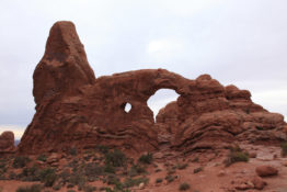IMG_8562_grandcircle_wm