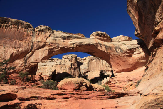 Hickman Bridge in Capitol Reef National Park Utah