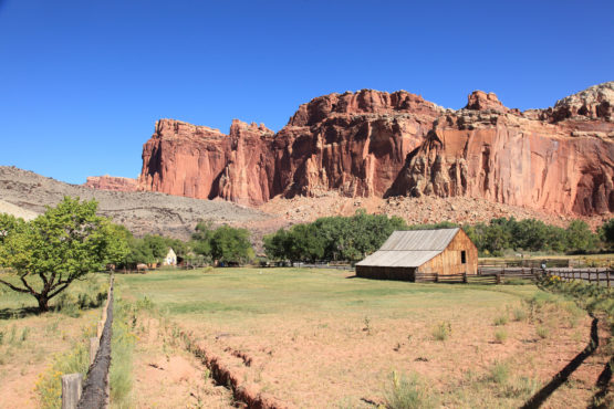 Gifford House at Fruita area in Capitol Reef National Park Utah
