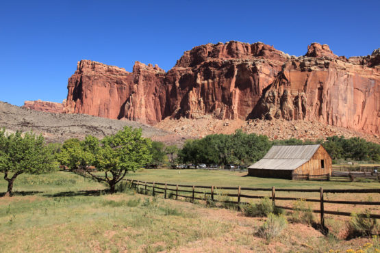 Gifford House at Fruita area in Capitol Reef National Park Utah